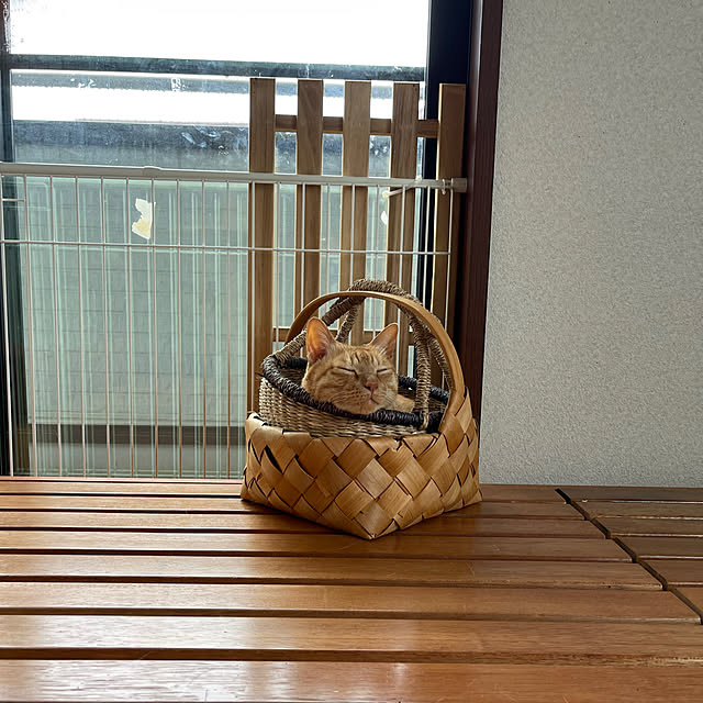 kikiさんの実例写真