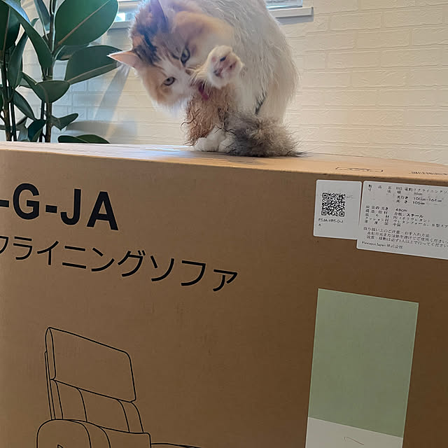mya___kさんの部屋