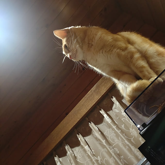 glassさんの実例写真