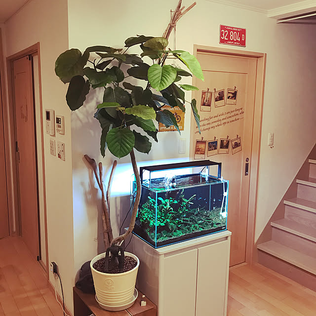 m.y326さんの実例写真