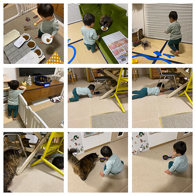 mikomaruさんの実例写真
