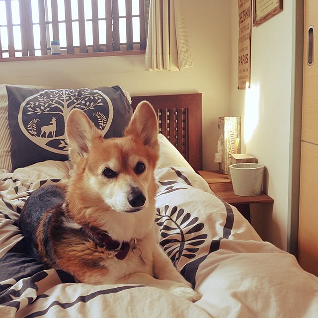 kumiさんの実例写真