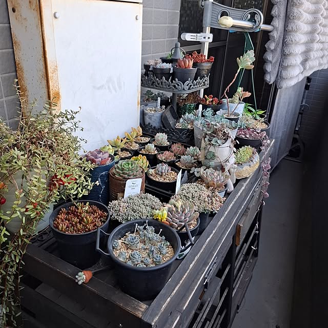 noaさんの部屋