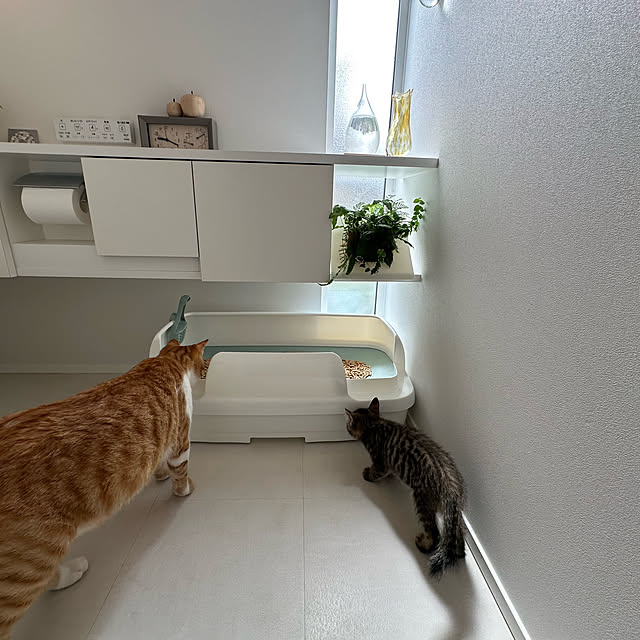 lemonadeさんの部屋