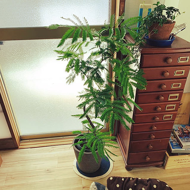 reynoldstpさんの実例写真