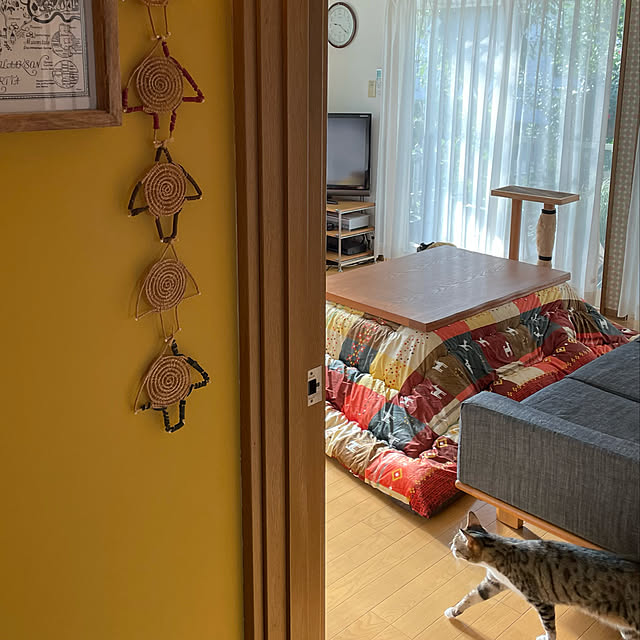 nobikoさんの実例写真