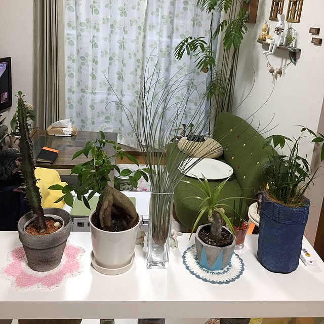 omochiさんの実例写真
