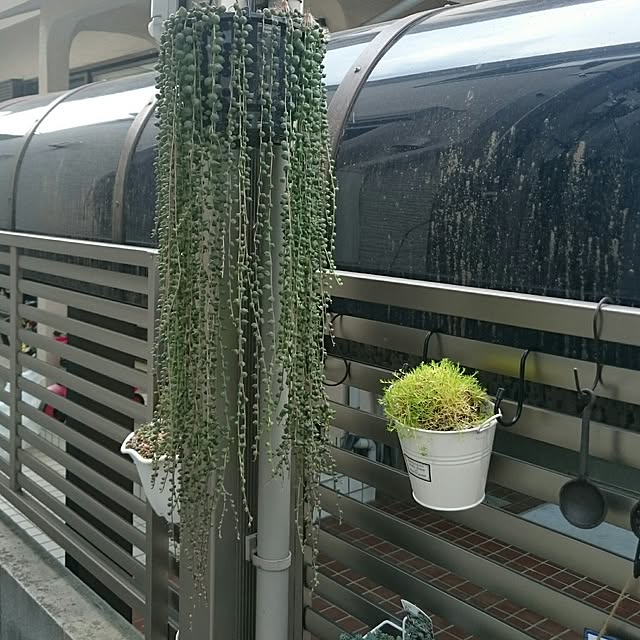 hideさんの実例写真