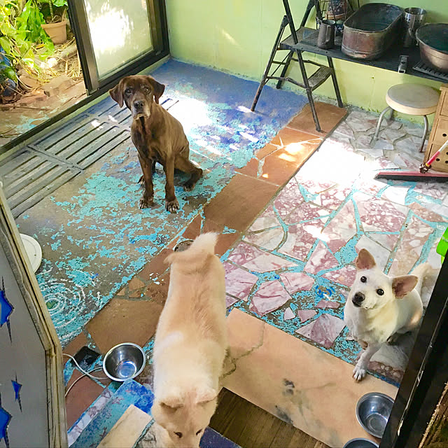 Mさんの実例写真