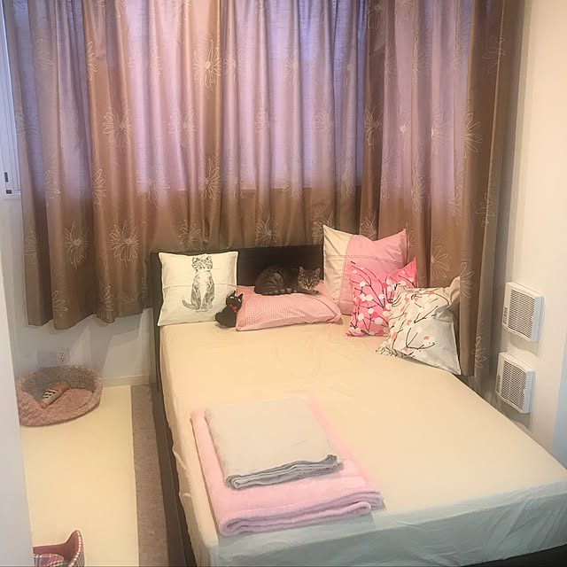 Ayaさんの実例写真