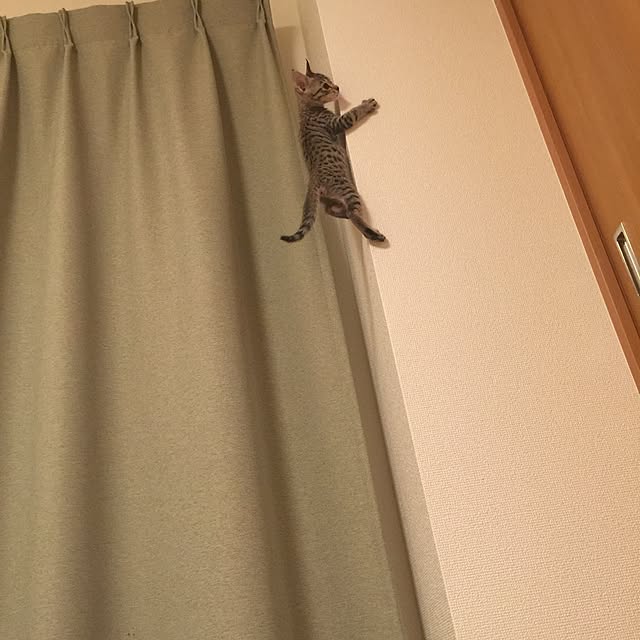 rikuranさんの実例写真