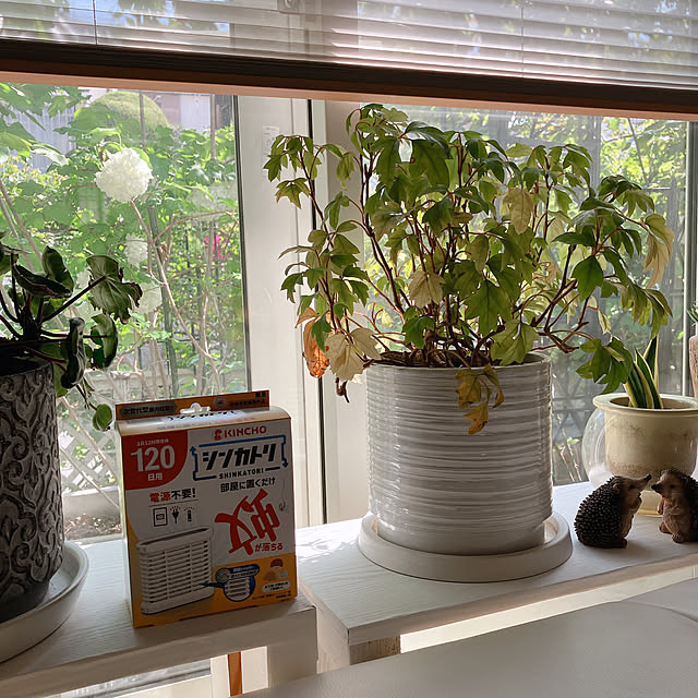 Tupemamaさんの部屋