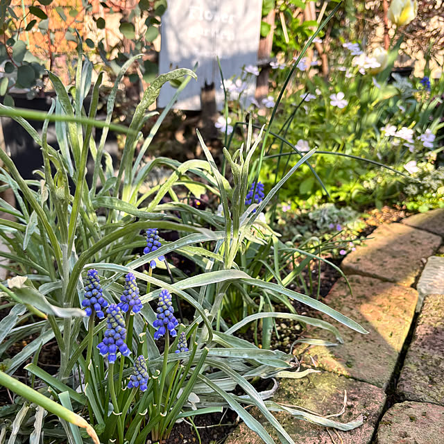 kyoko1124koさんの部屋