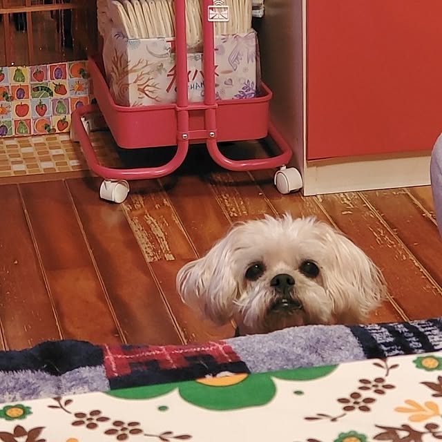 kumutanさんの実例写真