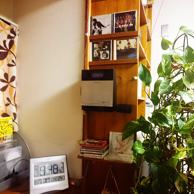 pineさんの実例写真