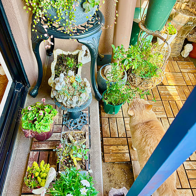 naokoさんの実例写真