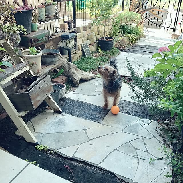kuroさんの実例写真