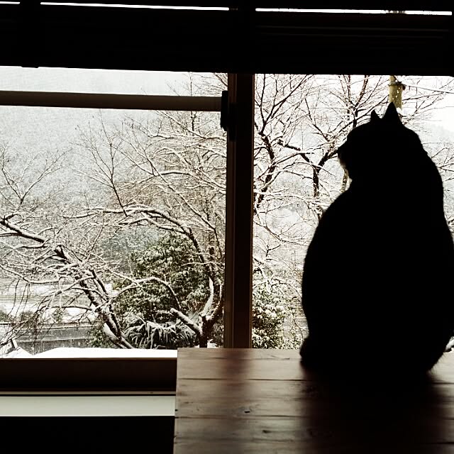 nekogurumaさんの実例写真