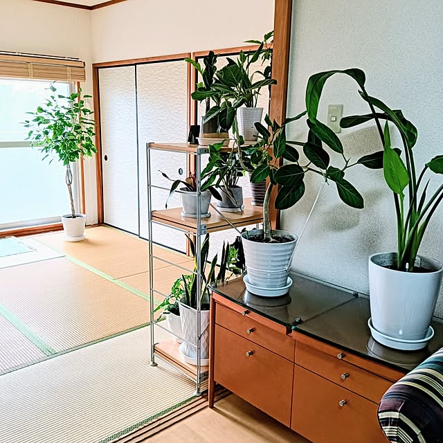 hanachanさんの実例写真