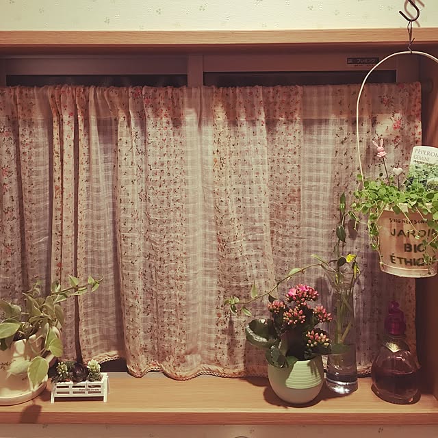 pinokoさんの実例写真