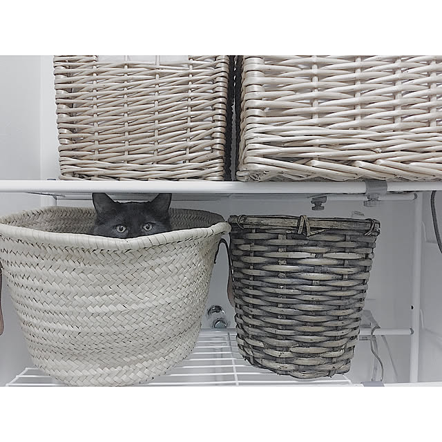 SHIOKONBUさんの実例写真