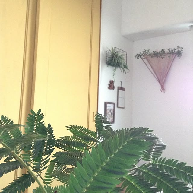 studio-fleurさんの実例写真