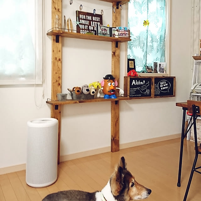 wizさんの実例写真