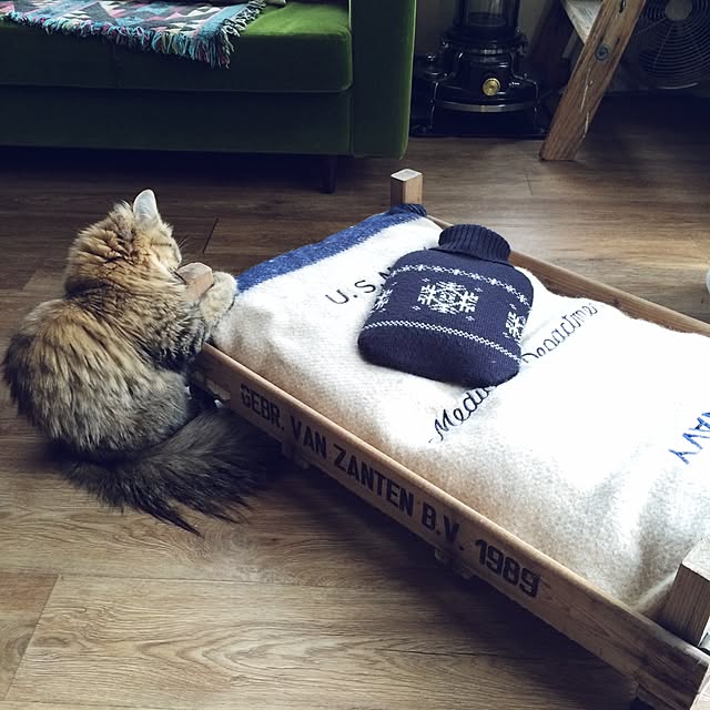 DailyRoomclip