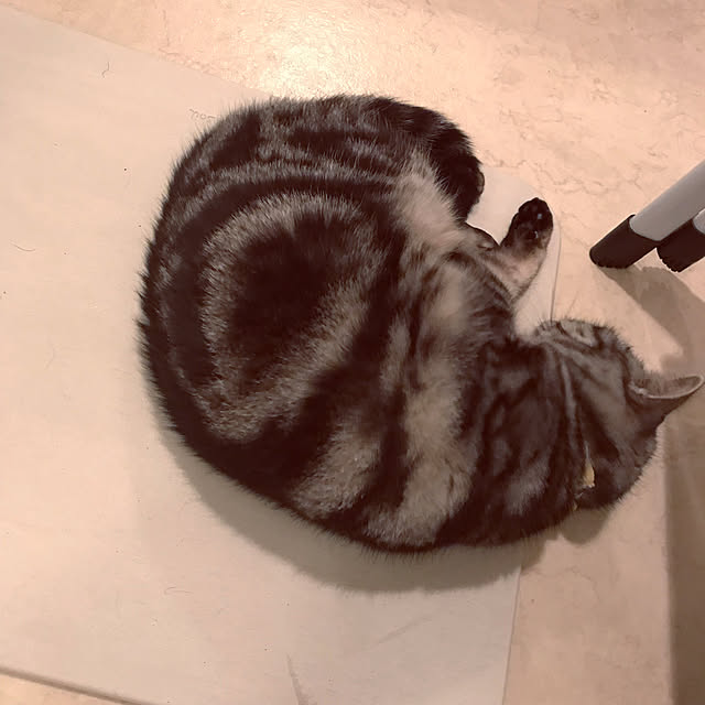 hiyupan88さんの実例写真