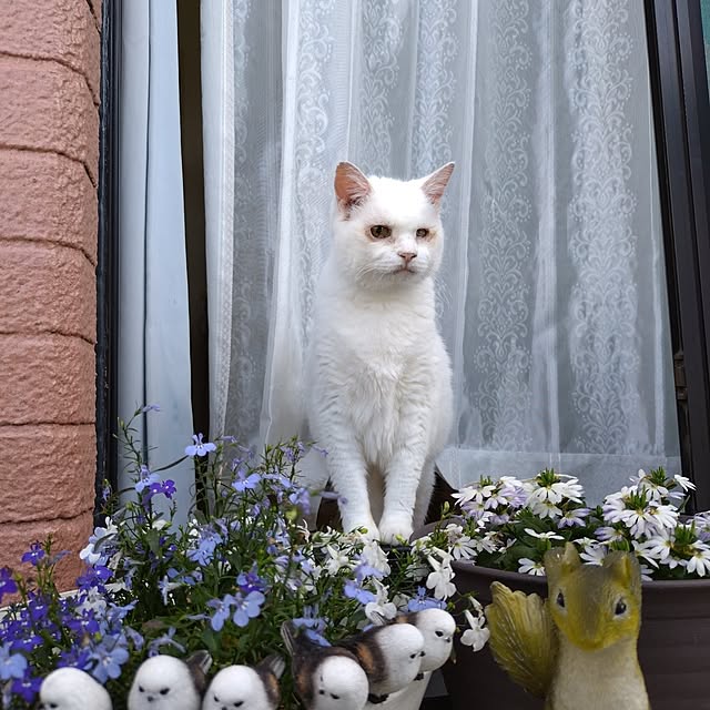 NOAHさんの部屋