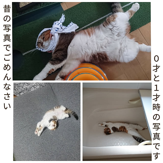 hiro3さんの実例写真