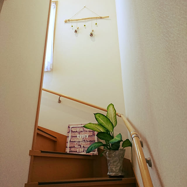 部屋全体/観葉植物/階段/グリーンのある暮らし/ぶらさげ好き...などのインテリア実例 - 2017-08-31 11:37:32