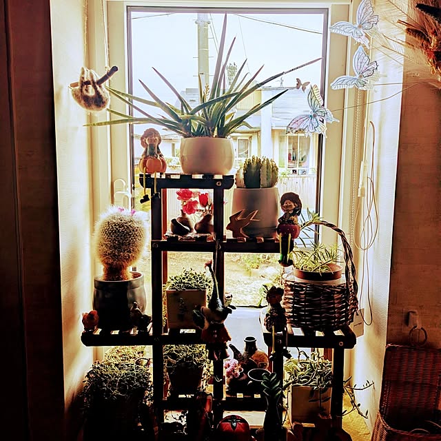 sora3さんの実例写真