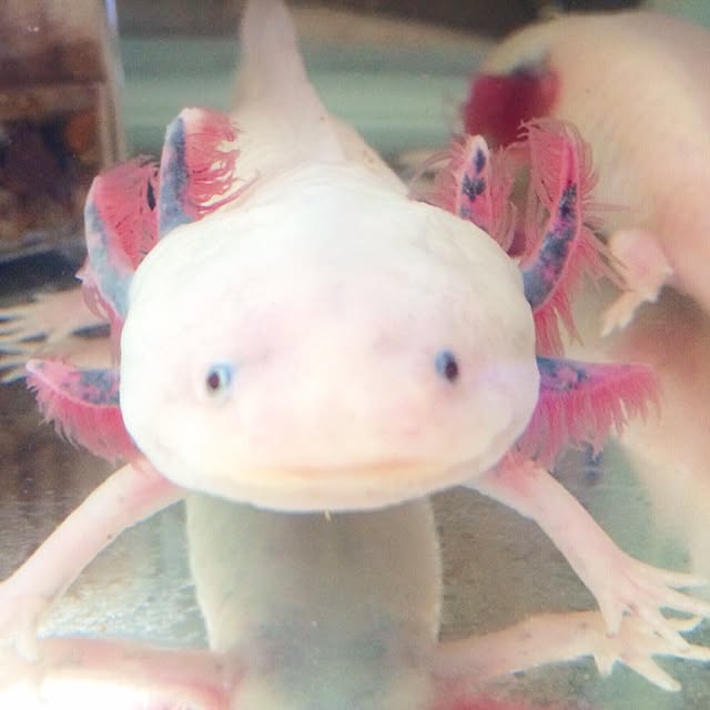 HappyRoseさんの実例写真