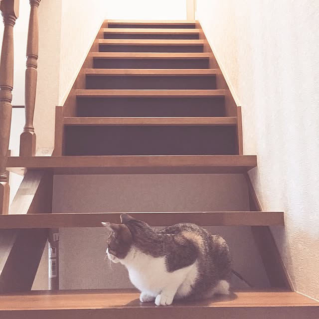 ymさんの実例写真