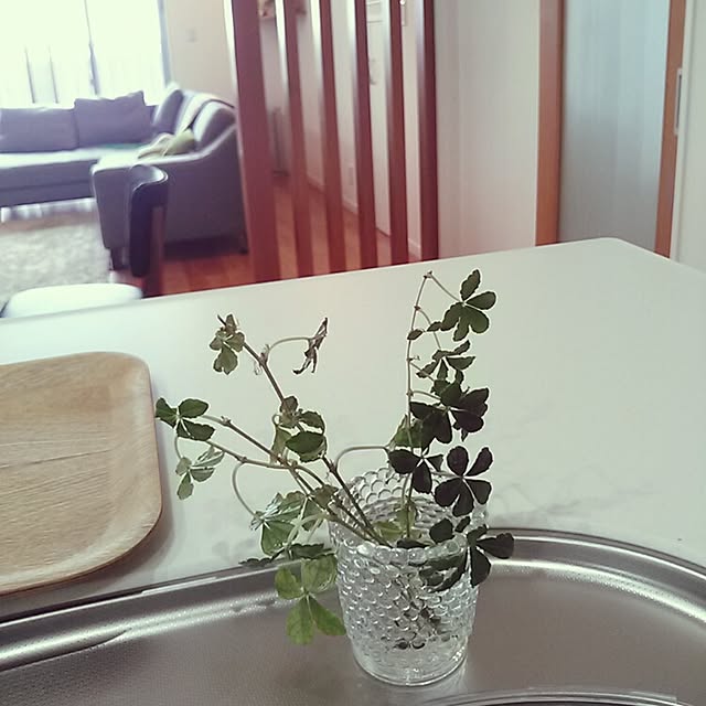 junaさんの実例写真
