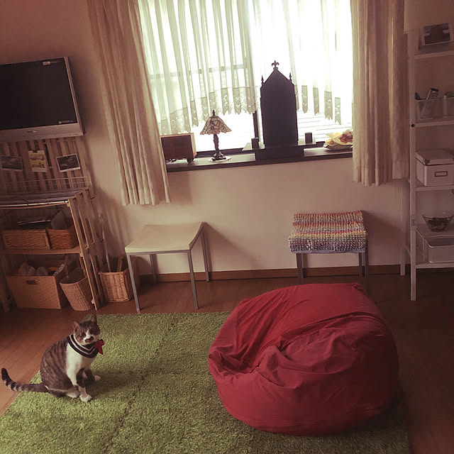 jijiさんの実例写真