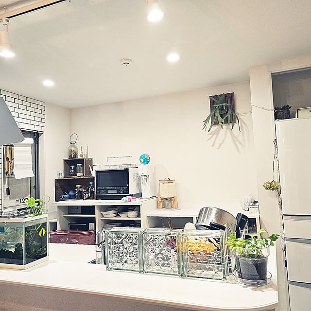 GaudisHouseさんの部屋