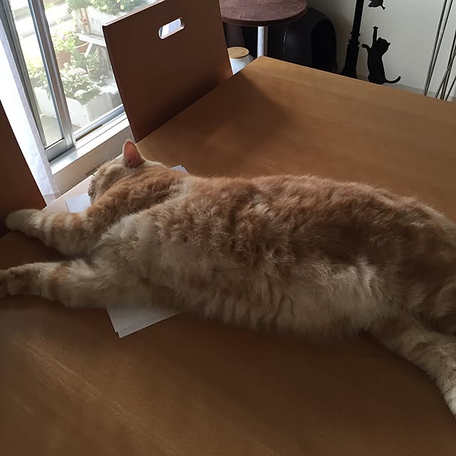 minaminaさんの実例写真