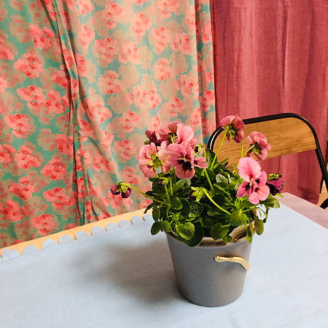 pipiさんの実例写真