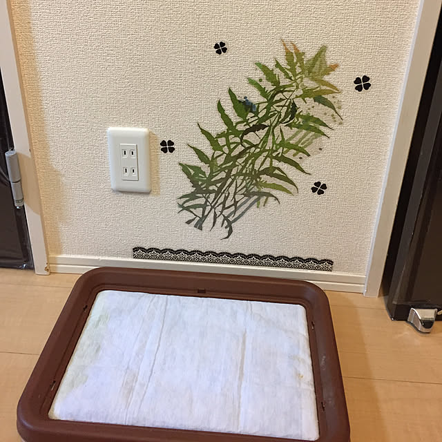 emiさんの実例写真