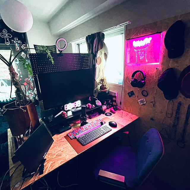 coyoteさんの部屋