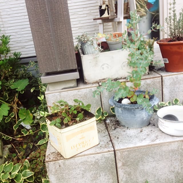 izuhanさんの実例写真
