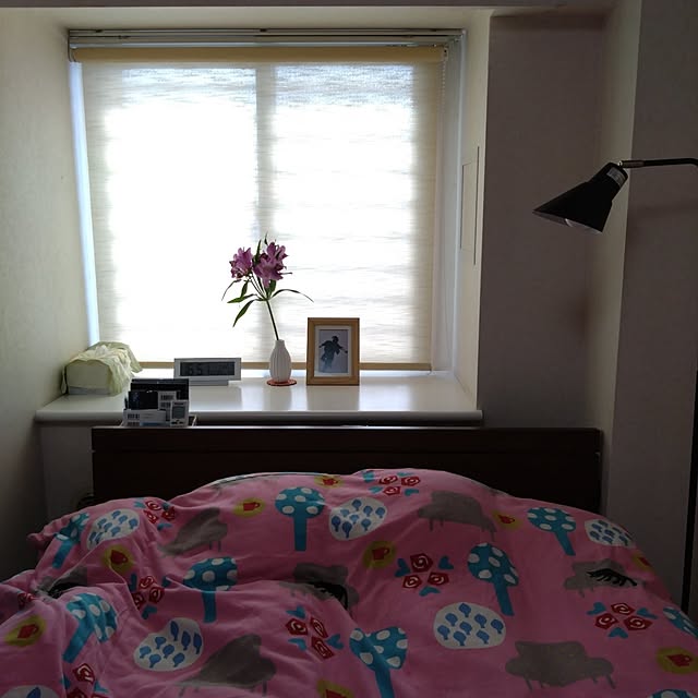 jkabmymycatさんの実例写真