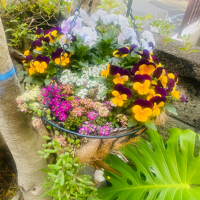 soyominさんの部屋