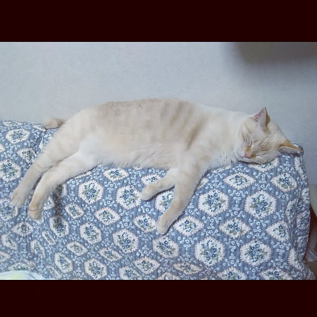 mntcさんの実例写真