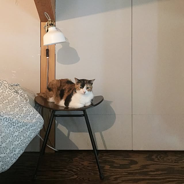 mohayaeteさんの実例写真