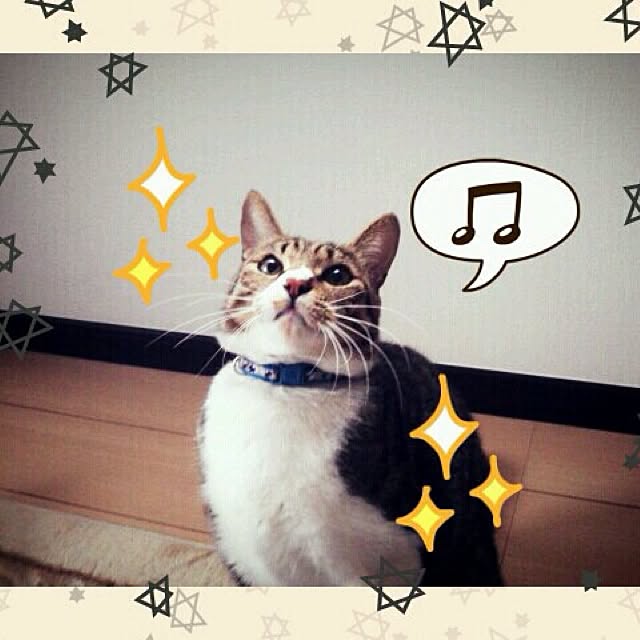 1515さんの実例写真