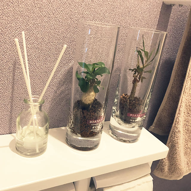 shunyaさんの実例写真