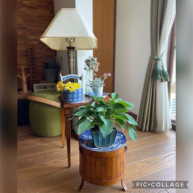 buchiさんの部屋